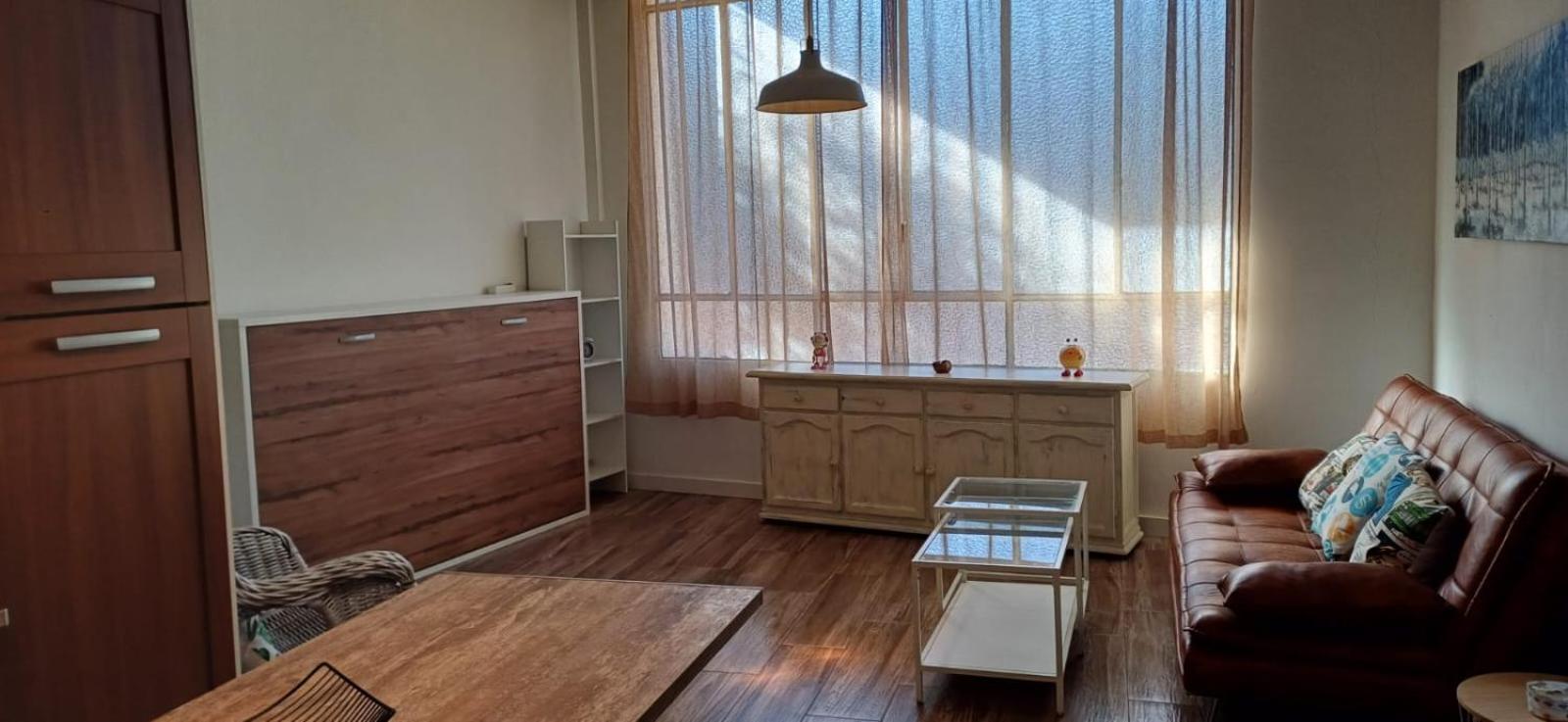 Apartment Loft Ibi